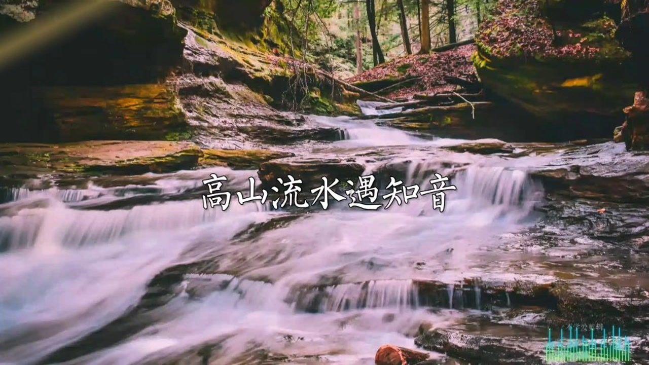 拯救树精灵